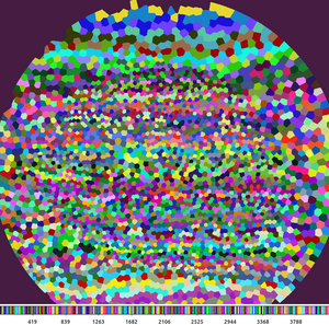 [Thumbnail image: A circular image with multi-color quasi-hexagonal shapes. A colorbar at the bottom shows random colors.]