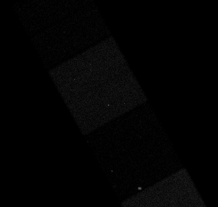 No description has been provided for this image