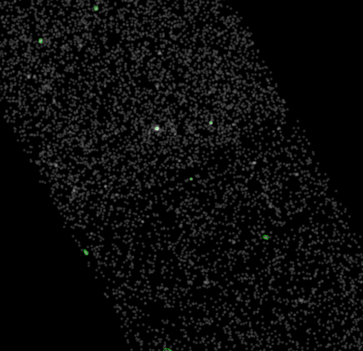 No description has been provided for this image